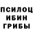 Псилоцибиновые грибы GOLDEN TEACHER Olga Gershkovich