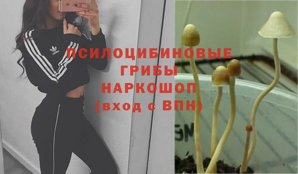 гашик Горно-Алтайск