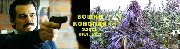 амф Горнозаводск