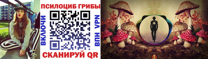 даркнет сайт  omg маркетплейс  Псилоцибиновые грибы мухоморы  Чекалин 